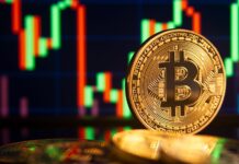 Crypto Portfolio