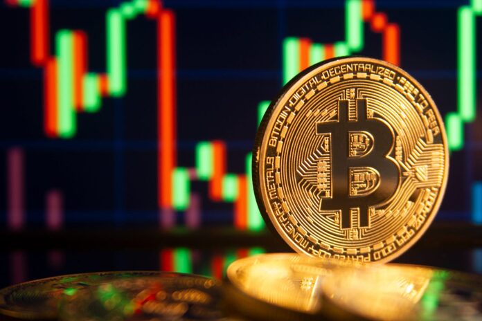 Crypto Portfolio